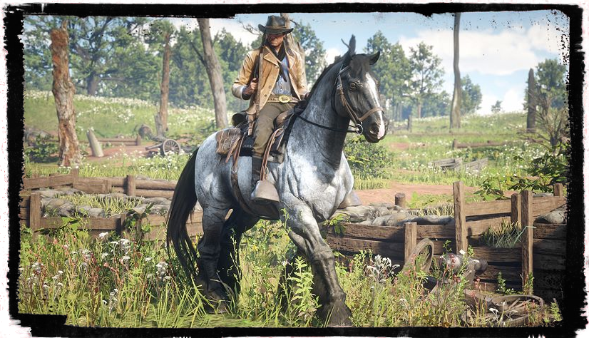 Red_dead_redemption2
